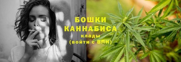 индика Бугульма